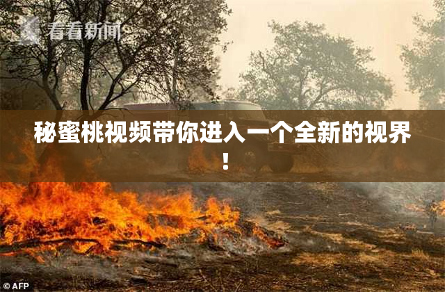 秘蜜桃视频带你进入一个全新的视界！
