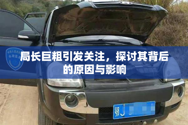 局长巨粗引发关注，探讨其背后的原因与影响