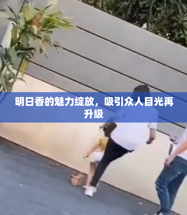 明日香的魅力绽放，吸引众人目光再升级