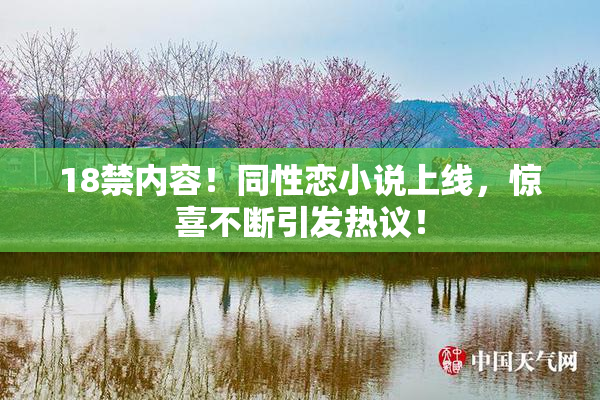 18禁内容！同性恋小说上线，惊喜不断引发热议！