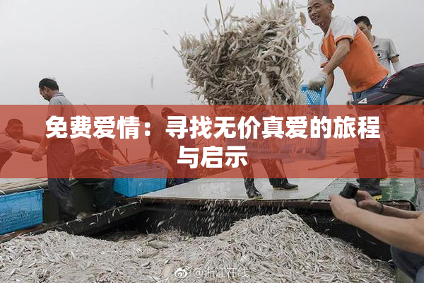 免费爱情：寻找无价真爱的旅程与启示