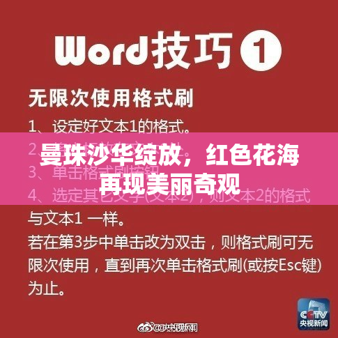 曼珠沙华绽放，红色花海再现美丽奇观