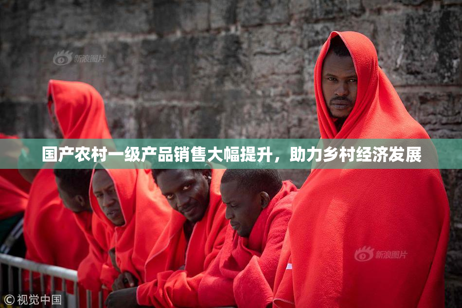国产农村一级产品销售大幅提升，助力乡村经济发展