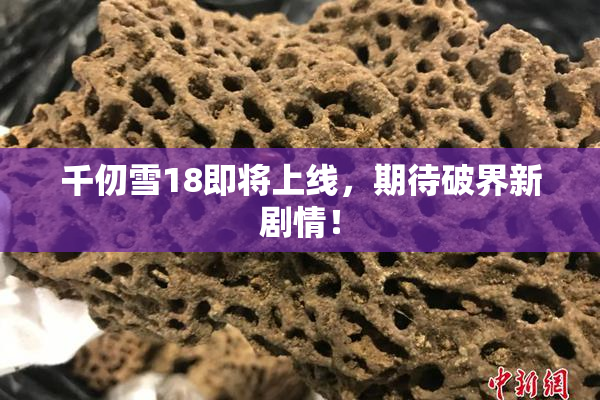 千仞雪18即将上线，期待破界新剧情！