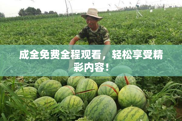成全免费全程观看，轻松享受精彩内容！