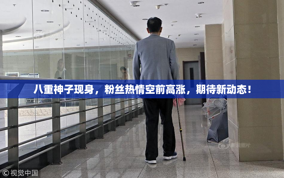 八重神子现身，粉丝热情空前高涨，期待新动态！