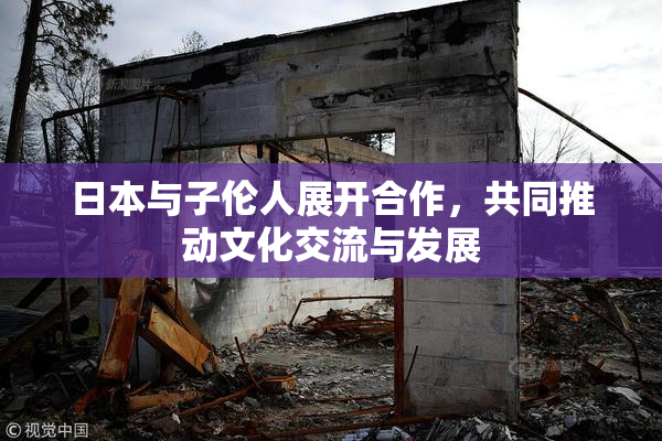 日本与子伦人展开合作，共同推动文化交流与发展