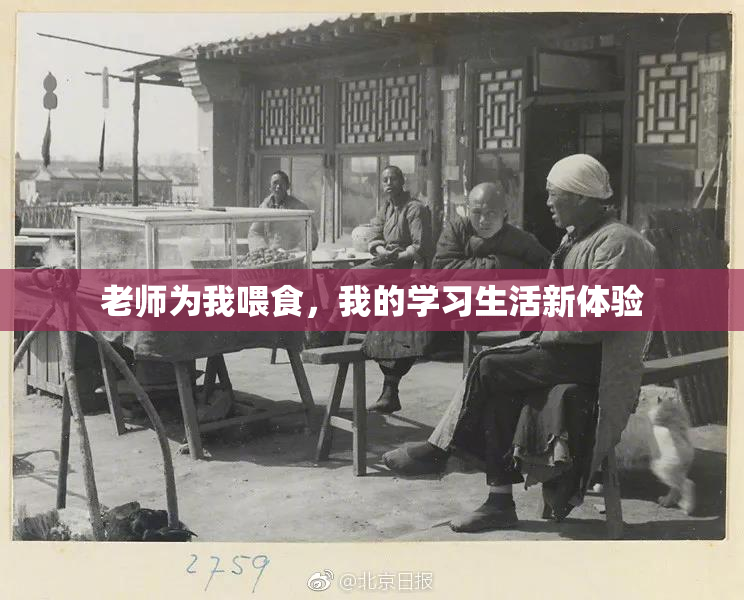 老师为我喂食，我的学习生活新体验
