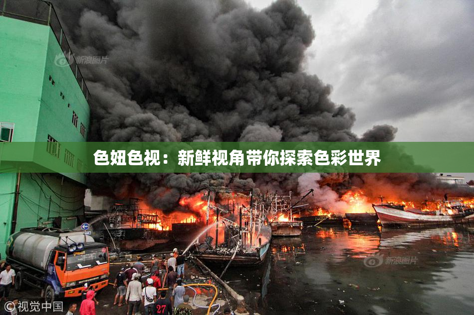 色妞色视：新鲜视角带你探索色彩世界