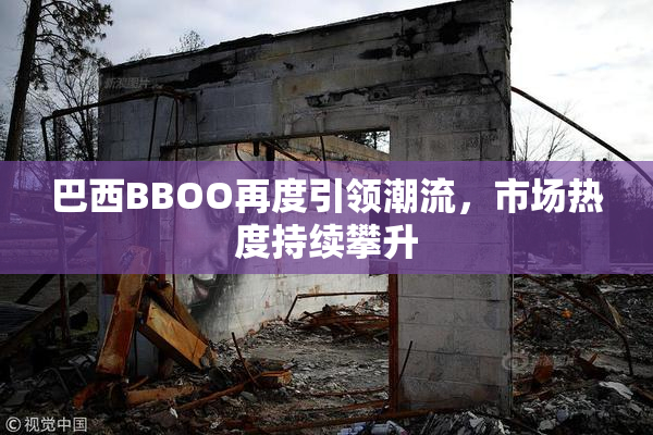 巴西BBOO再度引领潮流，市场热度持续攀升