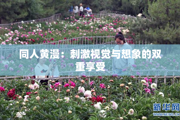 同人黄漫：刺激视觉与想象的双重享受