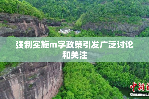 强制实施m字政策引发广泛讨论和关注