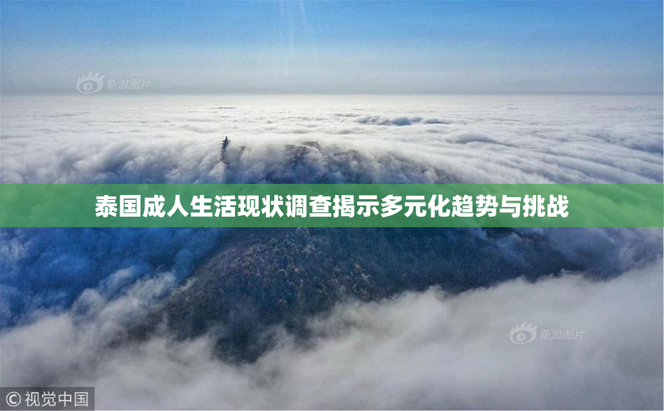 泰国成人生活现状调查揭示多元化趋势与挑战