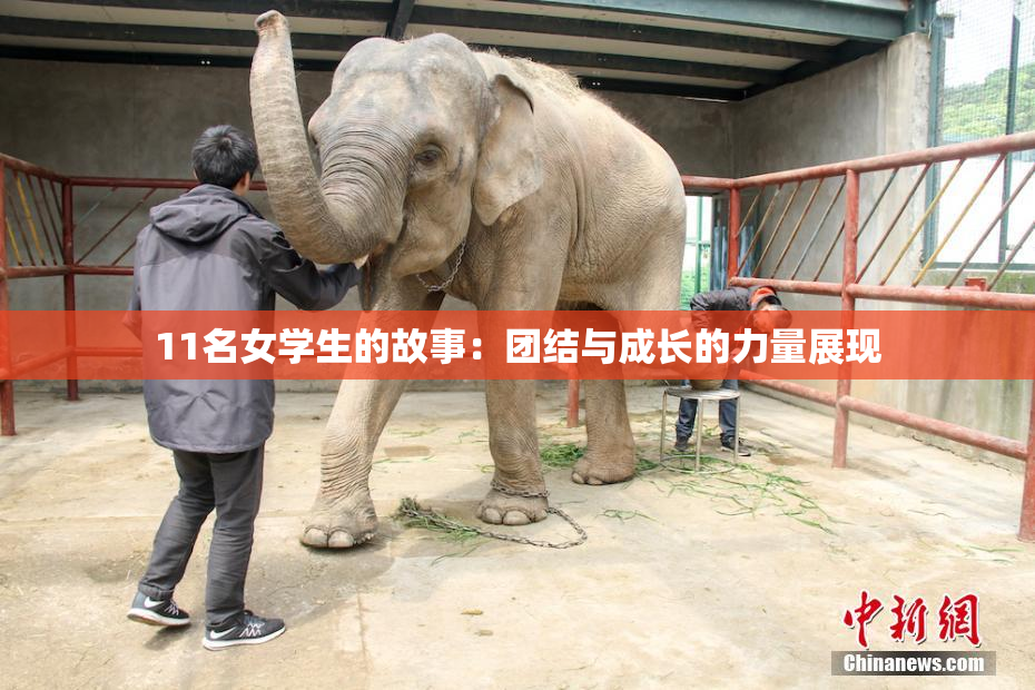 11名女学生的故事：团结与成长的力量展现