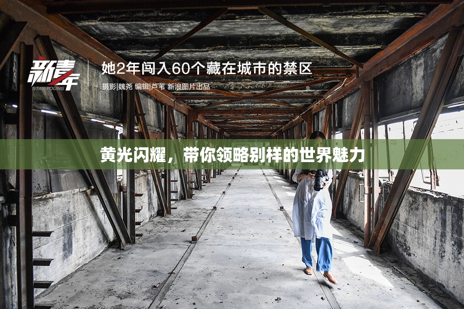黄光闪耀，带你领略别样的世界魅力