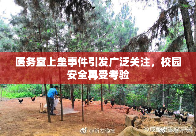 医务室上垒事件引发广泛关注，校园安全再受考验