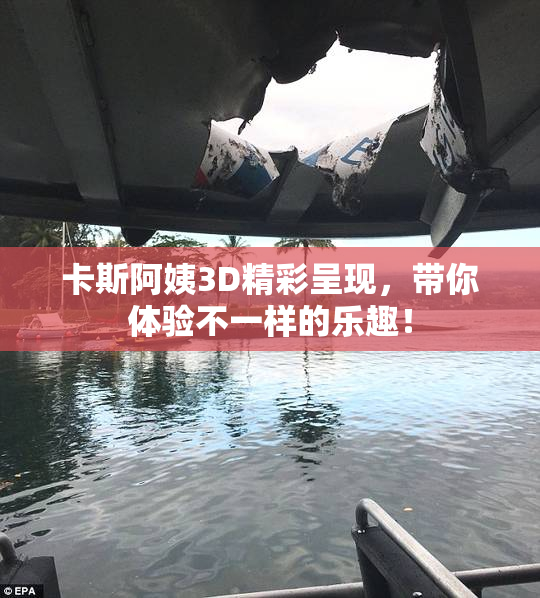 卡斯阿姨3D精彩呈现，带你体验不一样的乐趣！