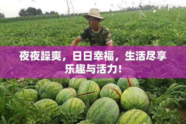 夜夜躁爽，日日幸福，生活尽享乐趣与活力！