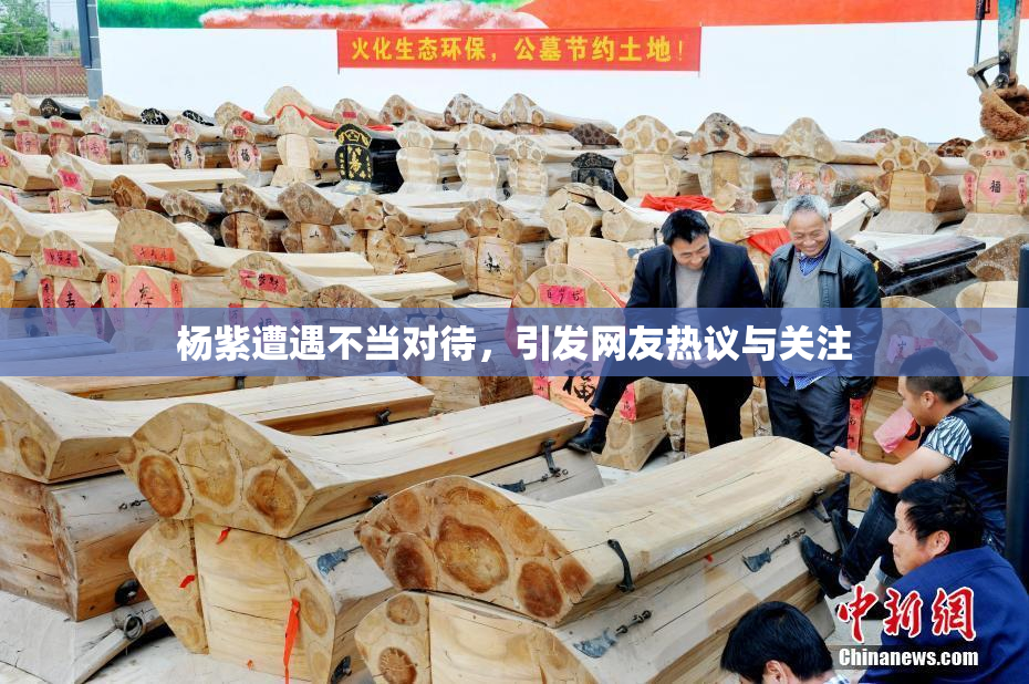 杨紫遭遇不当对待，引发网友热议与关注