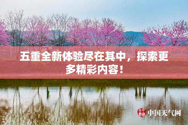 五重全新体验尽在其中，探索更多精彩内容！