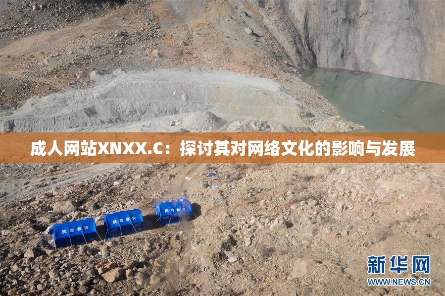 成人网站XNXX.C：探讨其对网络文化的影响与发展