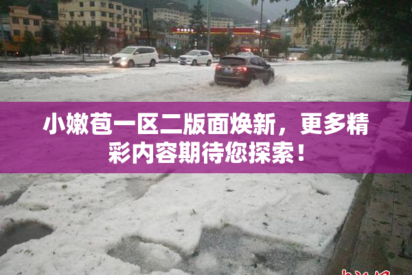 小嫩苞一区二版面焕新，更多精彩内容期待您探索！