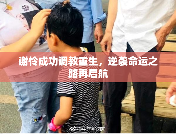 谢怜成功调教重生，逆袭命运之路再启航