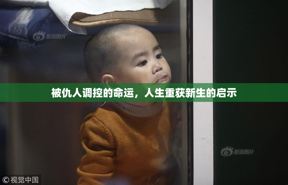 被仇人调控的命运，人生重获新生的启示