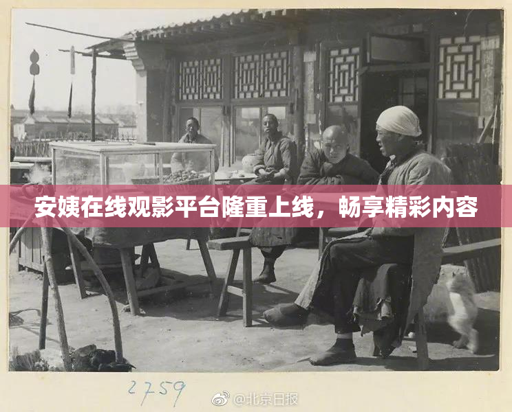 安姨在线观影平台隆重上线，畅享精彩内容
