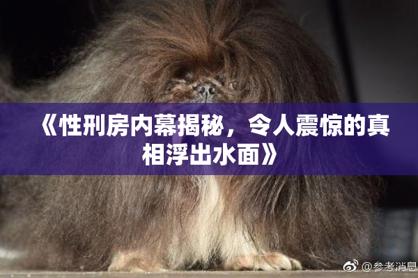 《性刑房内幕揭秘，令人震惊的真相浮出水面》