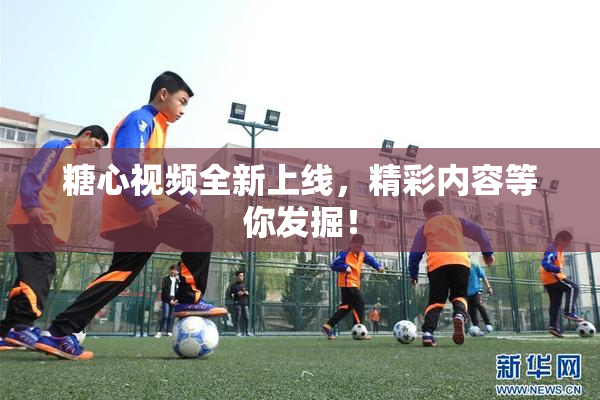 糖心视频全新上线，精彩内容等你发掘！