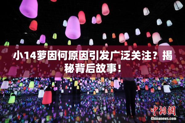 小14萝因何原因引发广泛关注？揭秘背后故事！