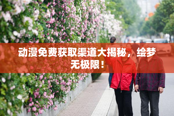 动漫免费获取渠道大揭秘，绘梦无极限！