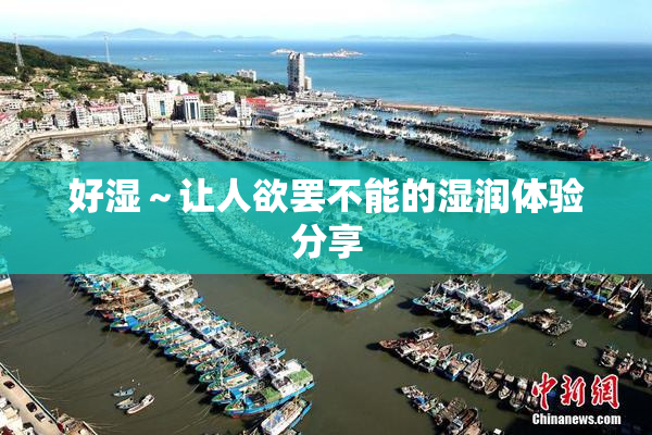 好湿～让人欲罢不能的湿润体验分享