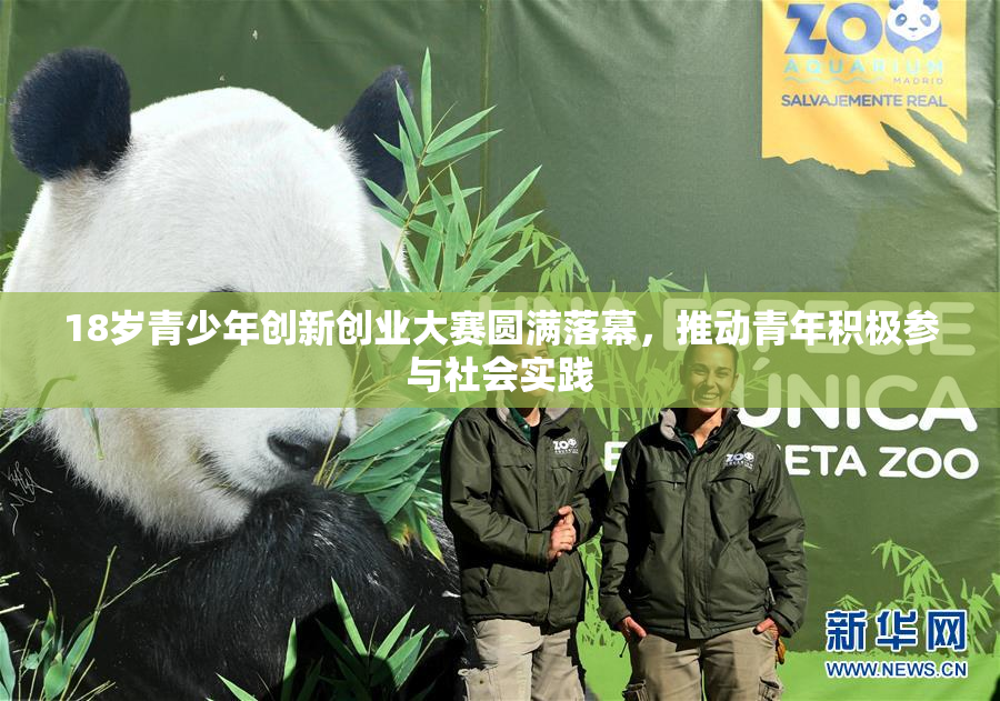 18岁青少年创新创业大赛圆满落幕，推动青年积极参与社会实践