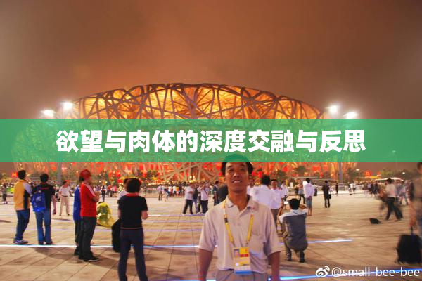 欲望与肉体的深度交融与反思