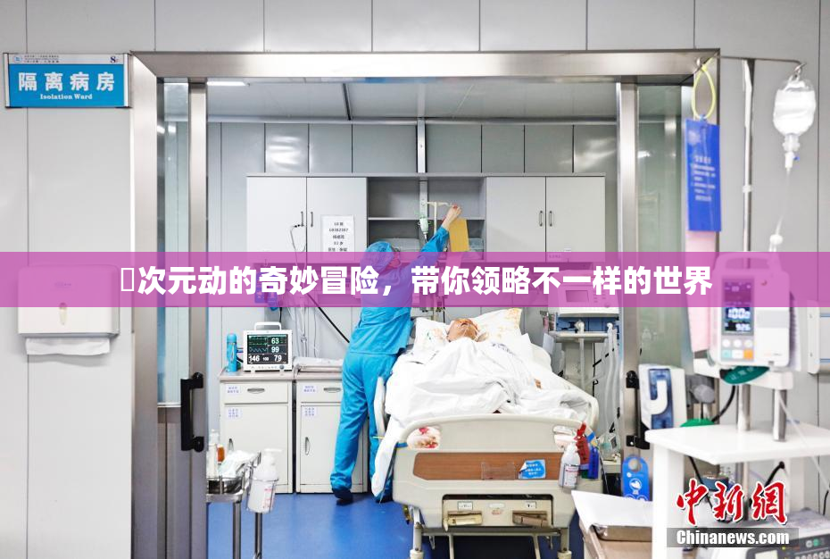 囧次元动的奇妙冒险，带你领略不一样的世界