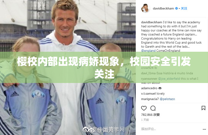樱校内部出现病娇现象，校园安全引发关注