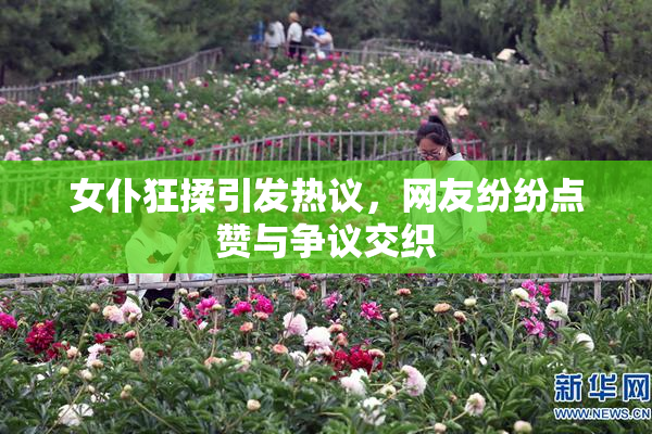 女仆狂揉引发热议，网友纷纷点赞与争议交织