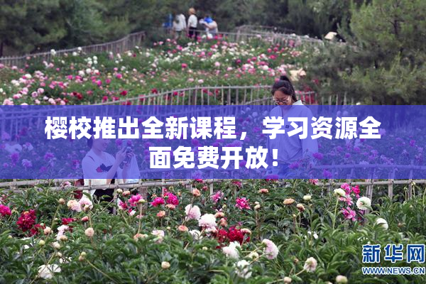 樱校推出全新课程，学习资源全面免费开放！