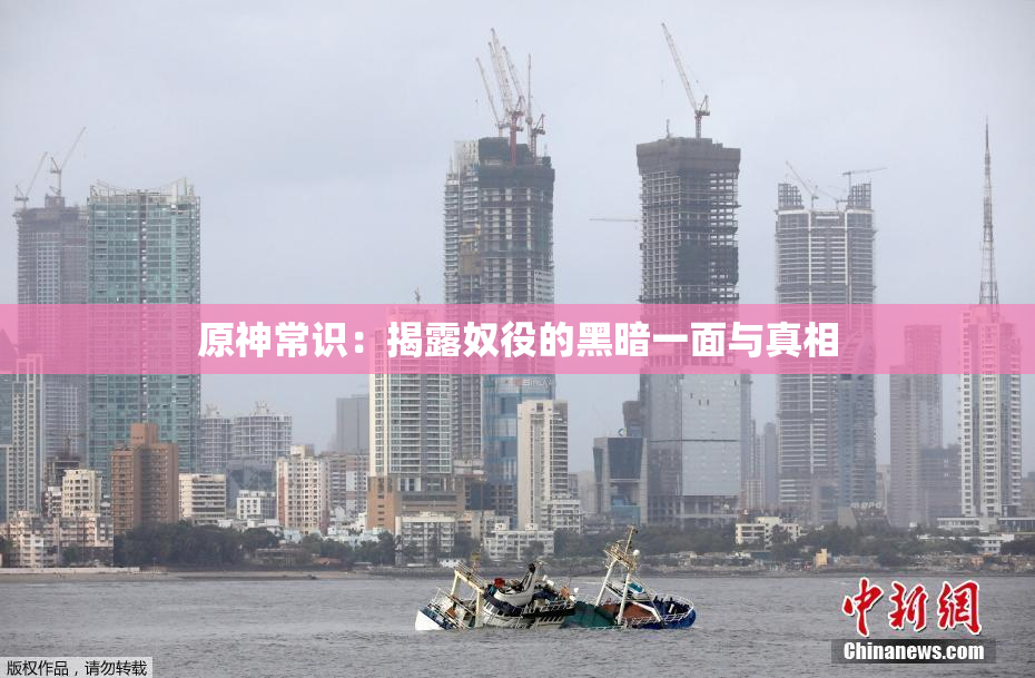 原神常识：揭露奴役的黑暗一面与真相