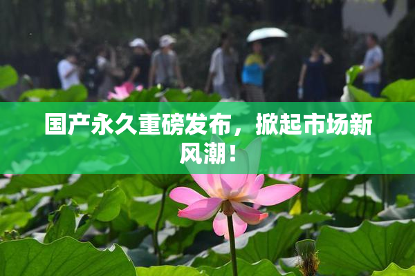 国产永久重磅发布，掀起市场新风潮！