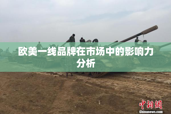 欧美一线品牌在市场中的影响力分析