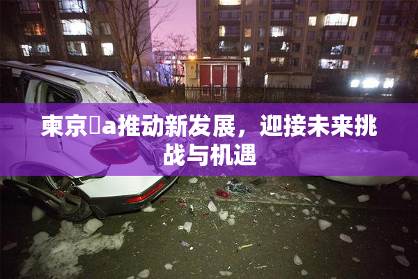 柬京埶a推动新发展，迎接未来挑战与机遇