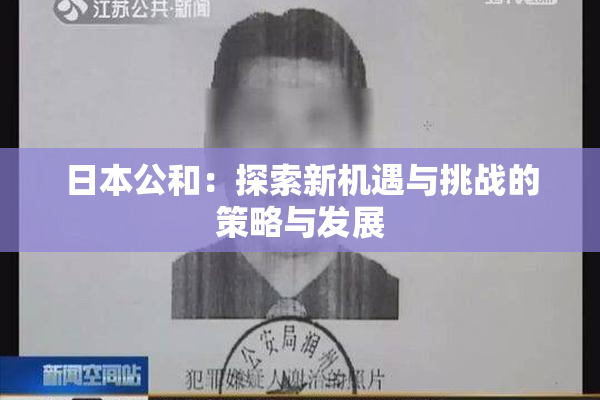 日本公和：探索新机遇与挑战的策略与发展