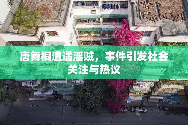 唐舞桐遭遇淫贼，事件引发社会关注与热议