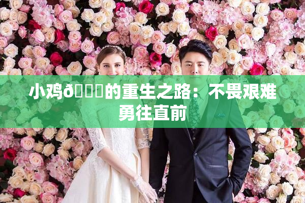 小鸡🐔的重生之路：不畏艰难勇往直前