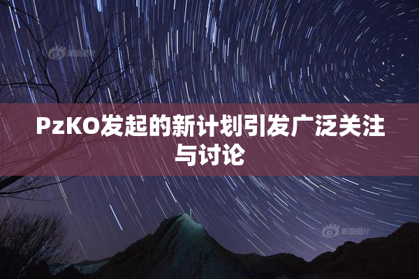 PzKO发起的新计划引发广泛关注与讨论