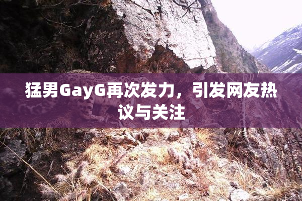 猛男GayG再次发力，引发网友热议与关注