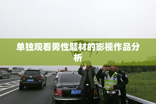 单独观看男性题材的影视作品分析